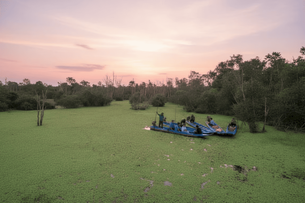 Vườn Quốc gia Tr&agrave;m Chim l&agrave; khu bảo tồn thi&ecirc;n nhi&ecirc;n c&oacute; quy m&ocirc; lớn v&agrave; địa h&igrave;nh đa dạng